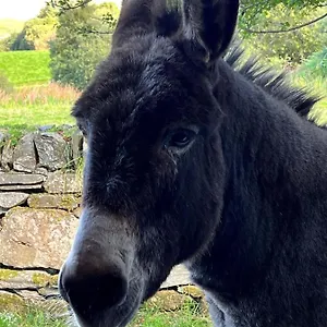 https://the-hazel-hut.westport-hotels.com